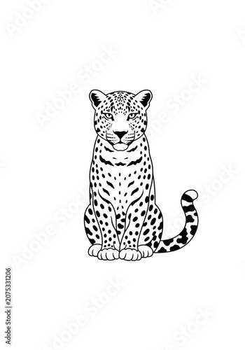 Sitting leopard illustration with black spots on white background