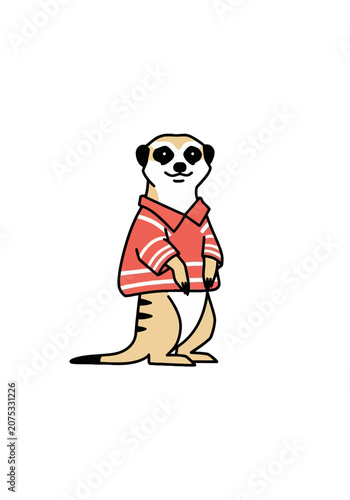 Cute meerkat wearing a striped red polo shirt