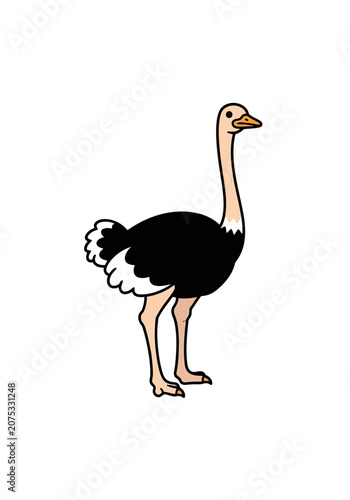 Cute cartoon ostrich with black body and beige neck