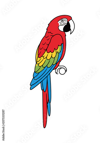 Red blue and yellow macaw parrot perched on branch