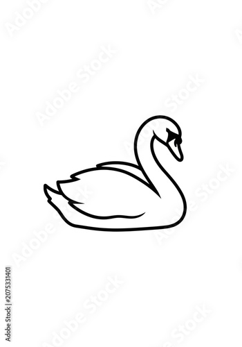 Elegant swan outline simple line art graphic