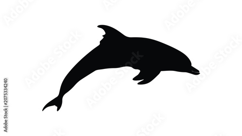 Silhouette of a Dolphin Leaping Out of Water.