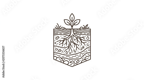 Illustration of a plant growing from soil with visible roots.
