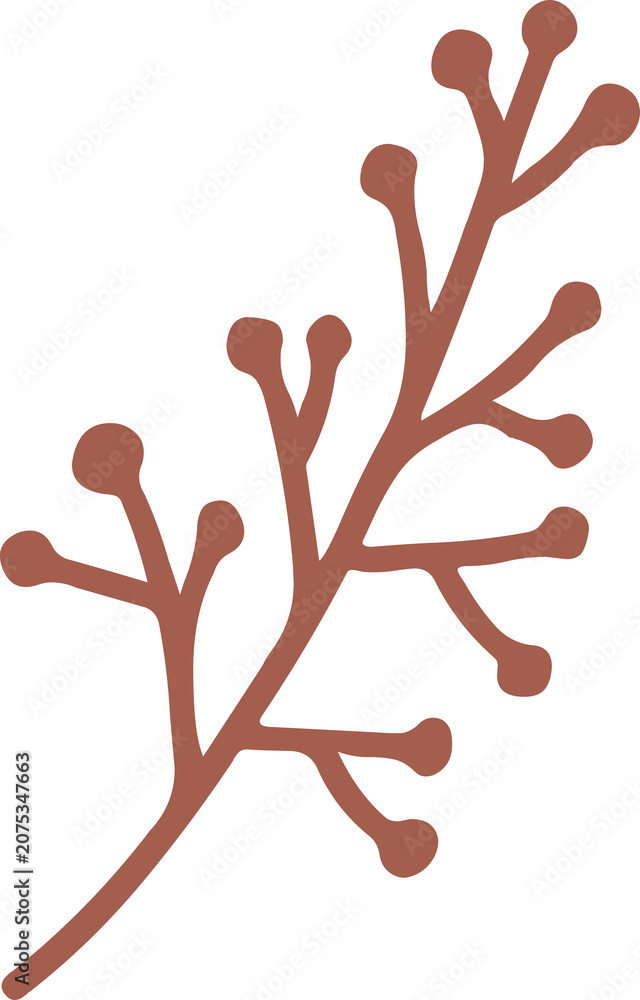 Naklejka premium Brown Botanical Branch Illustration