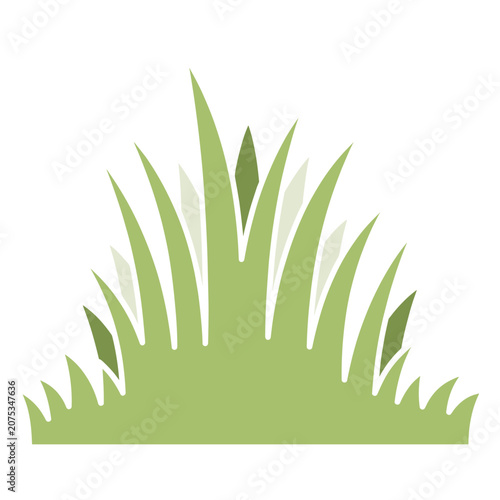Flat vector illustration of grass blades