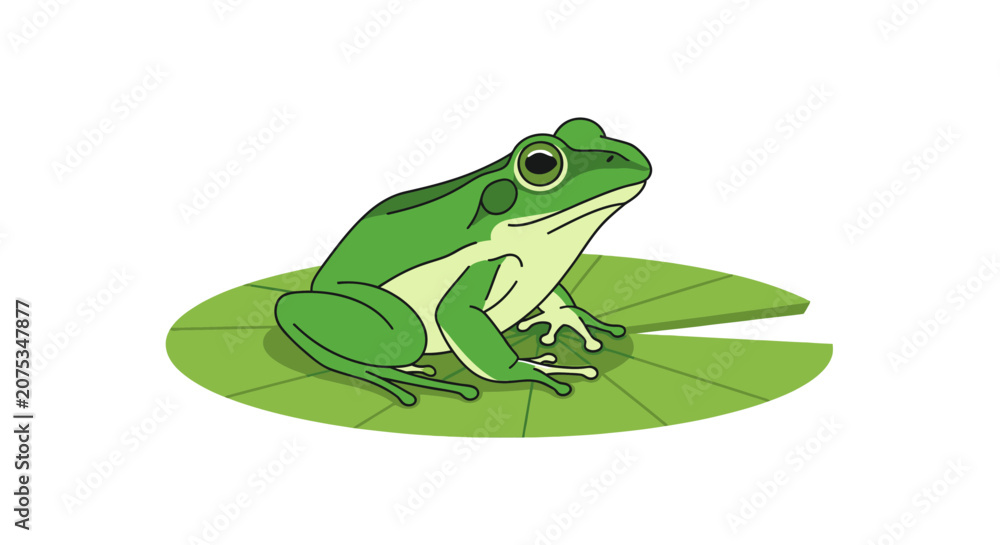 Obraz premium Vector illustration of a green frog sitting on a circular green lily pad isolated on a white background. Features include large eyes, webbed feet, and stylized line art contours.