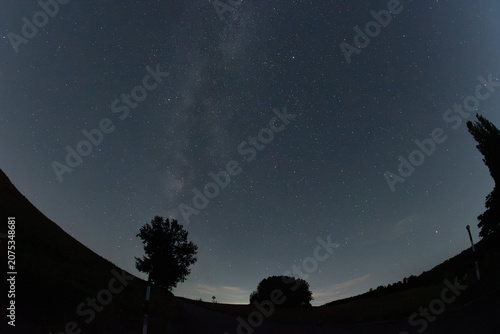 木々のシルエットと星空　銀河
