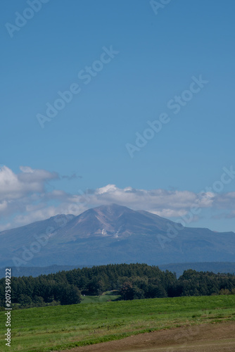 緑の牧草畑と山並み　大雪山
