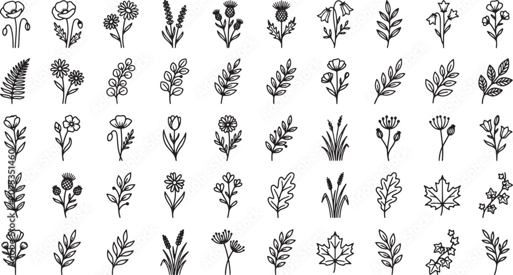 Fototapeta premium Hand drawn floral and botanical elements set featuring various wildflowers leaves and herbs in black ink style
