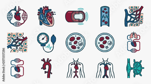 Photos Medical illustrations of human circulatory system and heart health