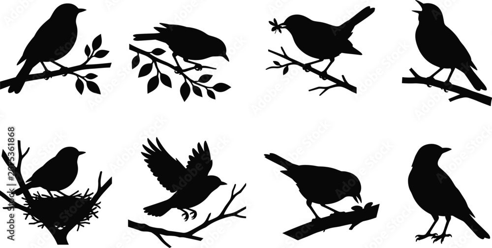 Fototapeta premium Songbird Silhouette Collection Set with Perched Singing Nesting and Flying Birds