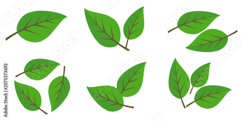 Quadro em tela Leaf vector symbol, leaf illustration or leaf emoji in flat style