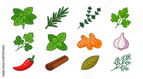 Collection of Hand Drawn Culinary Herbs and Spices Icons.