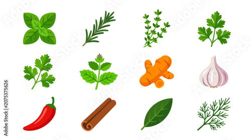 Collection of fresh herbs and spices set isolated on white background.