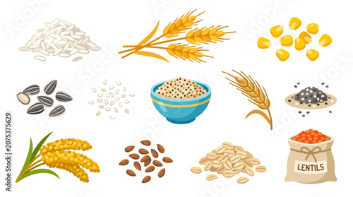 Collection of hand drawn organic grains cereals and legumes illustration.