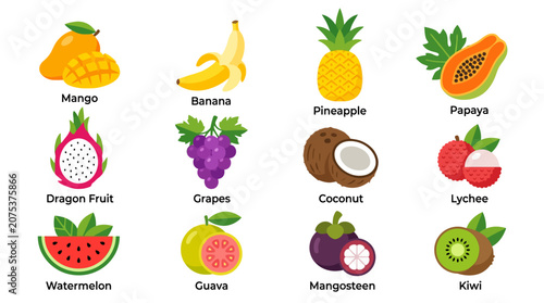 Set of colorful cartoon tropical and exotic fruits icons with names.