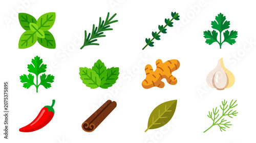 Set of colorful culinary herbs and aromatic spices icons.