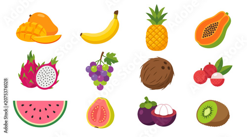 Set of colorful tropical and exotic fruit illustrations on white background.