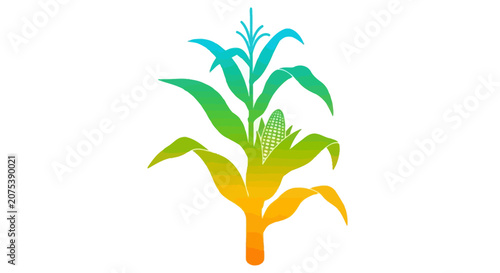 Colorful Gradient Illustration of a Single Corn Stalk Plant.