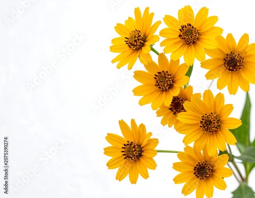 A close-up photo of a bouquet of vibrant yellow flowers with green leaves on a white background