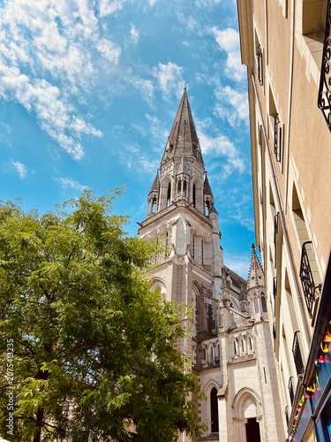 Vue en contrebas de la basilique Saint-Nicolas à Nantes avec un arbre – patrimoine architectural
