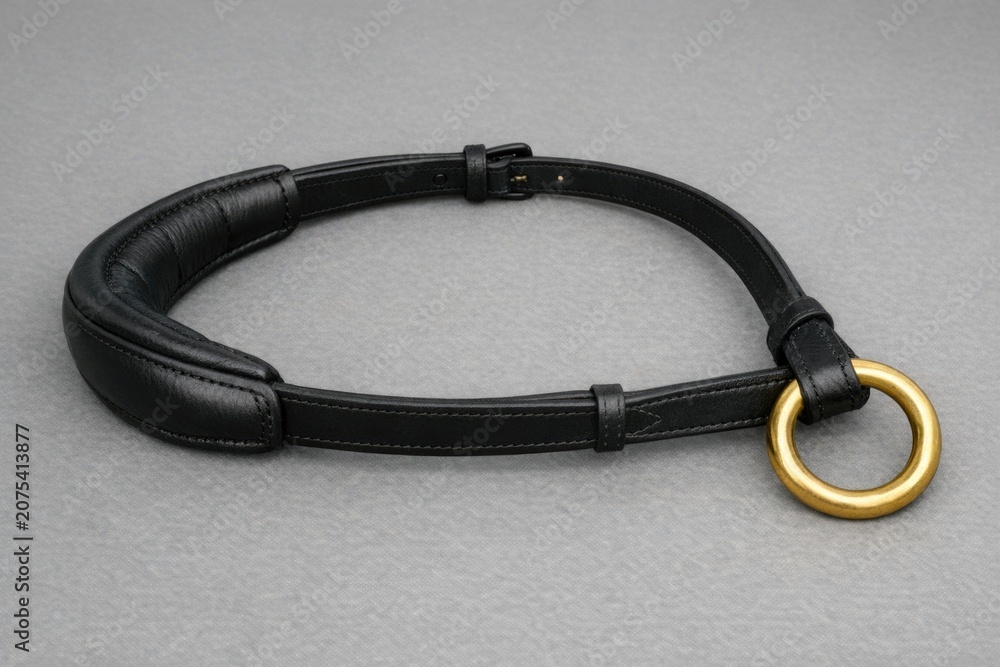 Fototapeta premium A close-up shot of a black leather belt featuring a gold ring buckle