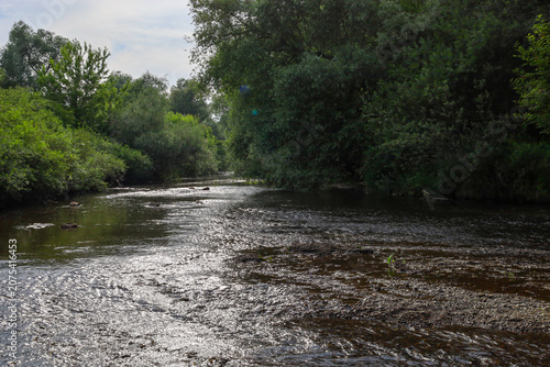 Canvastavla A wide forest river with a rocky bed slowly flows between dense green trees and bushes on a sunny day