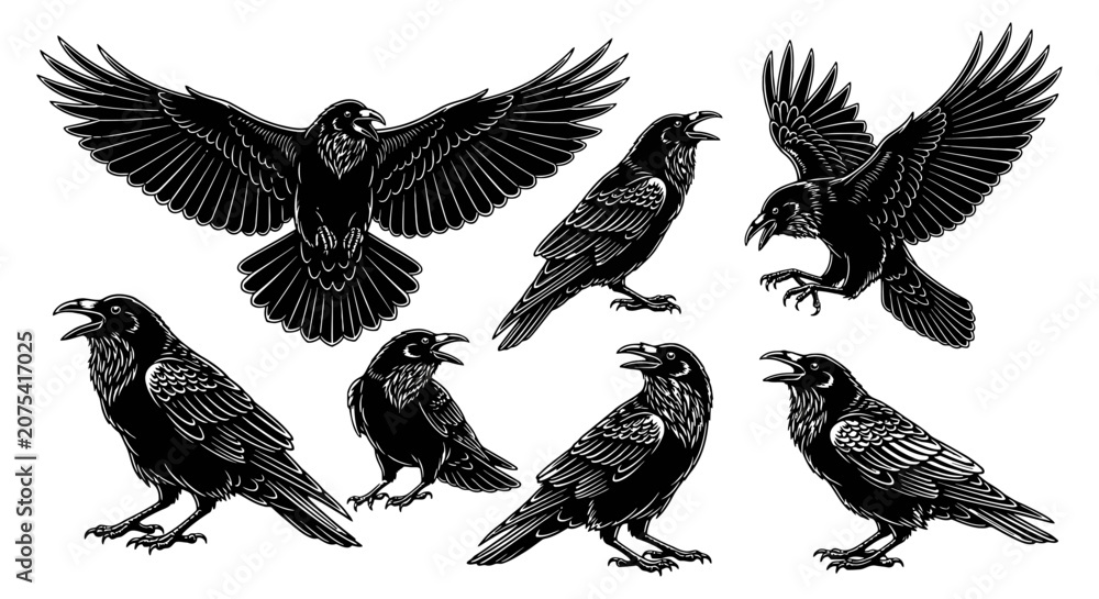Naklejka premium Vintage Illustration of Black Crows in Multiple Poses.