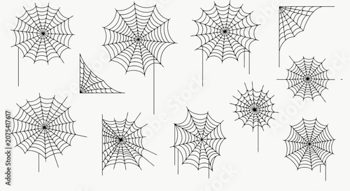 Foto Multiple Spider Webs Displaying Intricate Natural Designs.