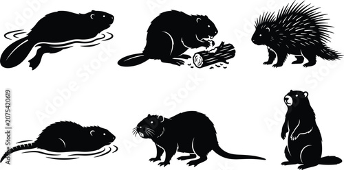 Фотография North American Rodent Silhouette Set Featuring Beaver Porcupine Muskrat Nutria a
