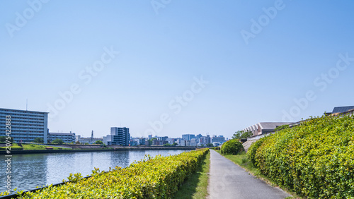 川沿いの緑豊かな遊歩道と青空の心地よい風景