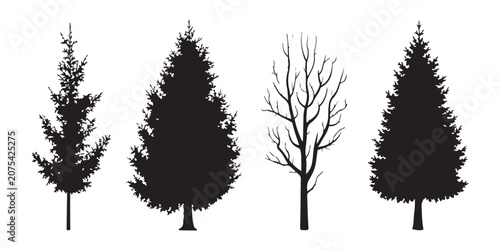 Tableau sur toile Detailed black tree silhouettes of forest conifers and leafless deciduous species on transparent backdrop