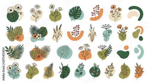 Abstract organic shapes and botanical leaf illustrations set