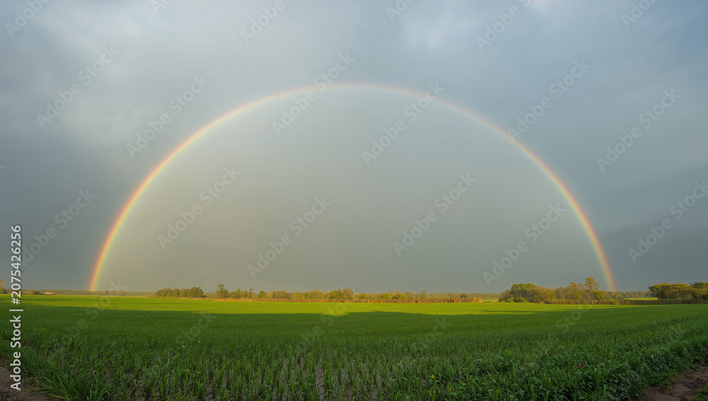 Fototapeta premium 雨上がりの草原に虹がかかる希望を感じる空模様
