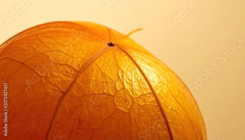 Close-up of orange physalis husk texture.