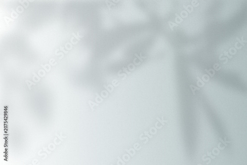Bild auf Leinwand Soft gray background with blurred leaf shadows, creating a gentle, airy texture