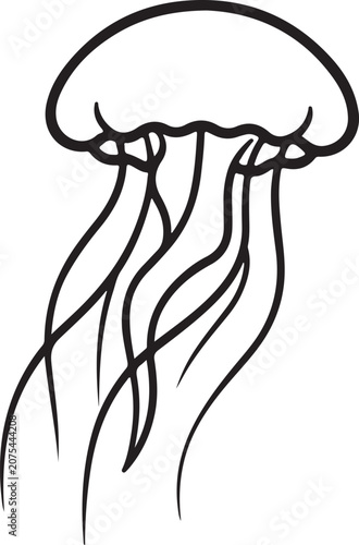 Jellyfish, marine animal, black line art, vector illustration