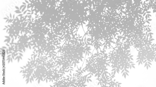 Dense dappled sunlight and tree foliage shadow overlay effect on a transparent background