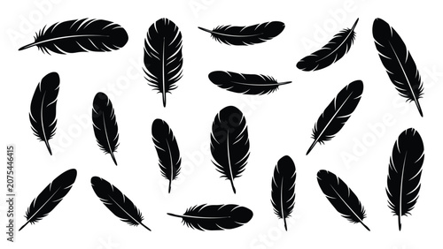 Feathers float against a clean white background in this collection.