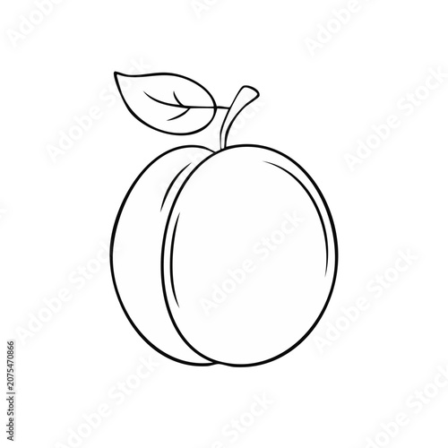 Simple Outline Drawing of a Fresh Plum with a Single Leaf and Stem