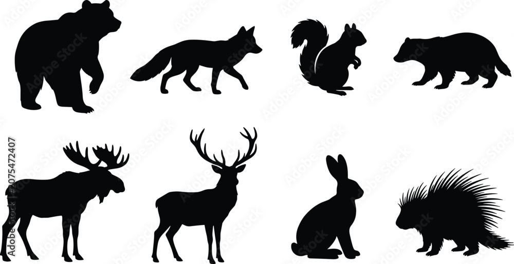 Fototapeta premium Vector Silhouette Collection of Woodland Animals