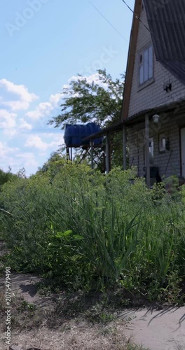 Rural country house on a sunny summer day