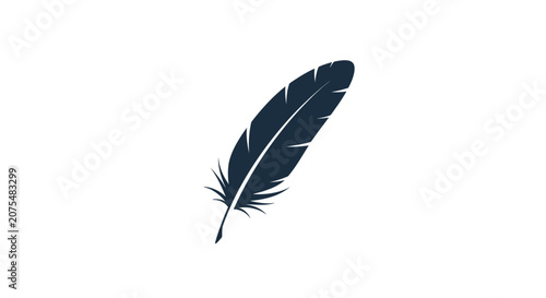Photography Single black feather in air.