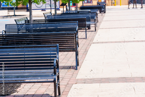 Green trees line a row of benches in a city park setting
