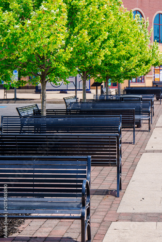 Green trees line a row of benches in a city park setting