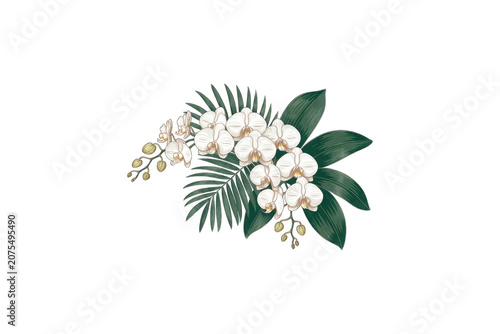 White flowers and green leaves bouquet on transparent background.