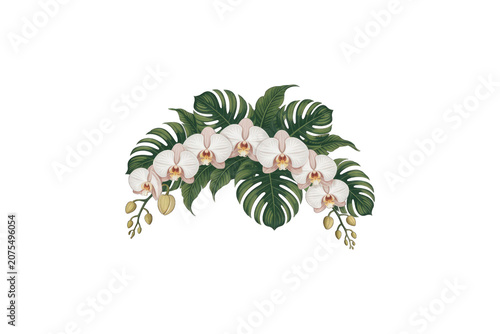 White flowers and green leaves bouquet on transparent background.