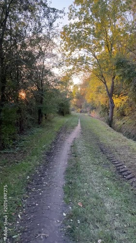 vertical narrow forest path in autumn, yellow leaves on the trees, a narrow ditch, sun flickering through branches, sunset, wide ruts from tractor wheels, autumn trees, green trees, grassy field path