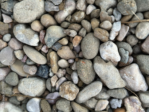 Obraz na płótnie Close-up of small smooth pebbles on riverbed with natural light