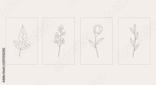 Isolated Botanical Line Art Prints Set with Delicate Leaves and Flowers on a Light Beige Background.